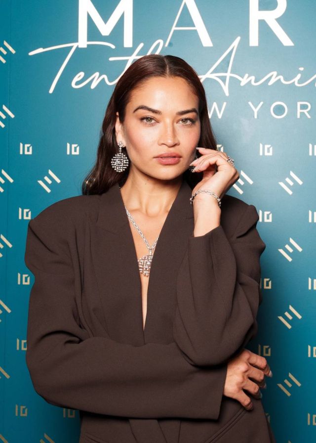 إيرينا شايك بمجوهرات 