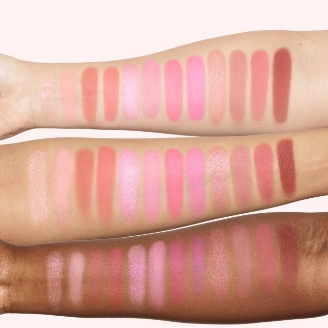 HB-BlushFilterPalettes-ArmSwatches