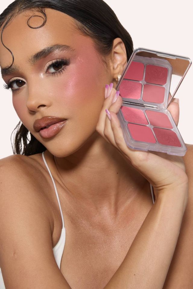 HB-BlushFilterPalettes-RoseBerry