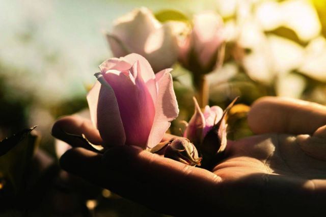 Dior Prestige: بشرة شابة ومتجددة