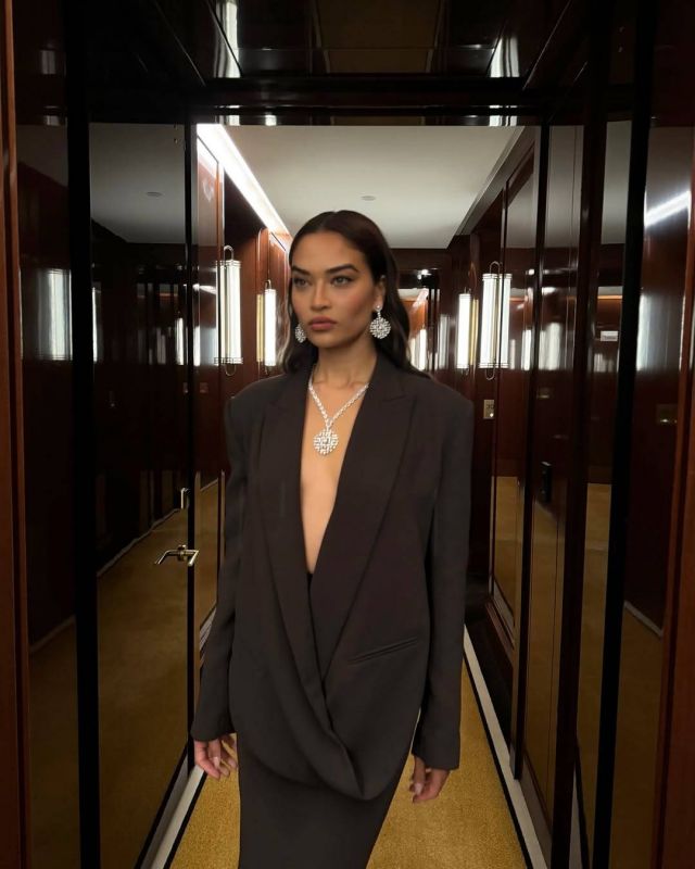 إيرينا شايك بمجوهرات 