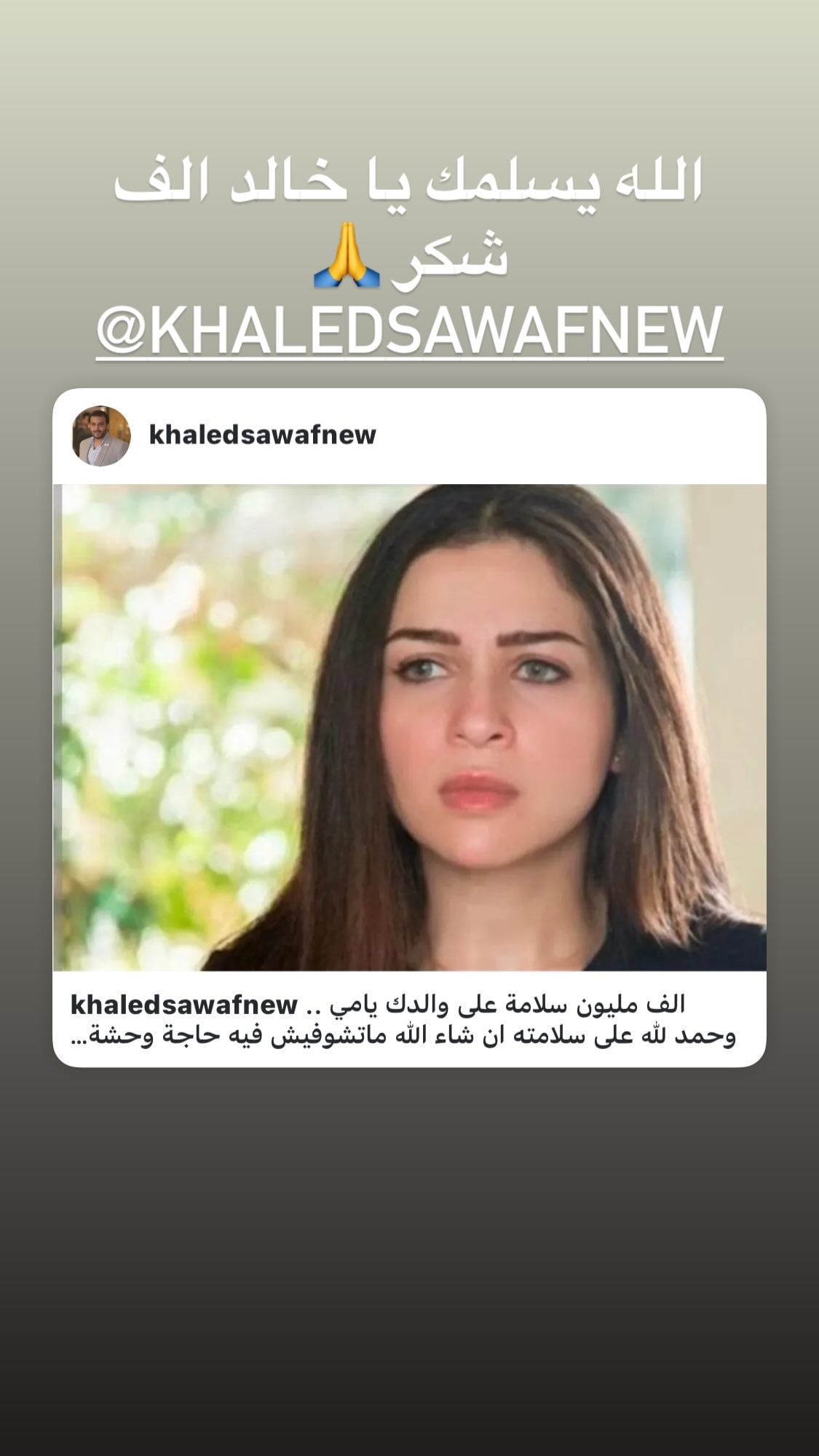 منشور مي عز الدين