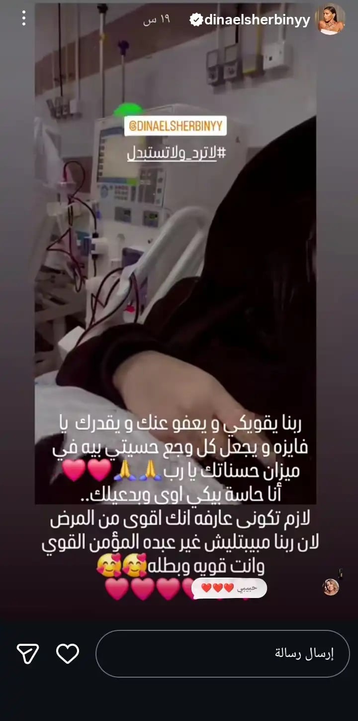 منشور دينا الشربيني