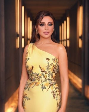 فساتين أنغام خلال حفلاتها في متحف خاص عند سفح الأهرامات (فيديو)