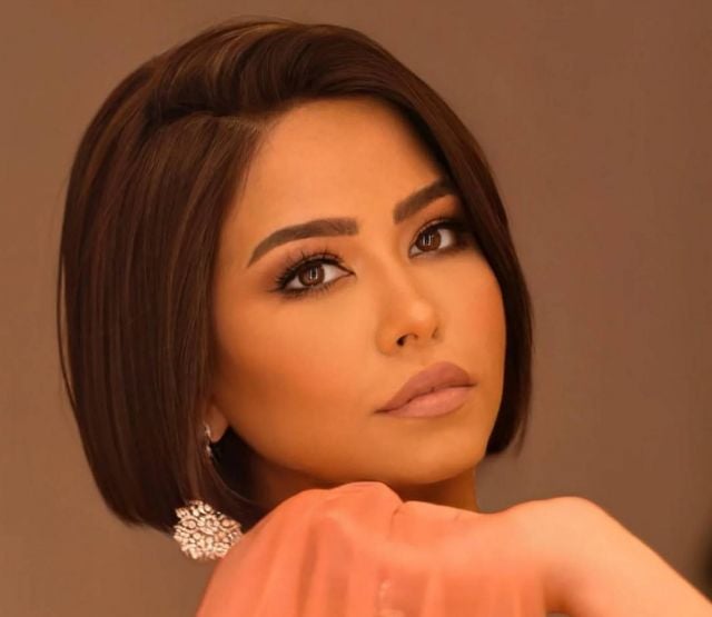 محامي شيرين عبد الوهاب يوضح سبب خسارتها قضيتها الجديدة