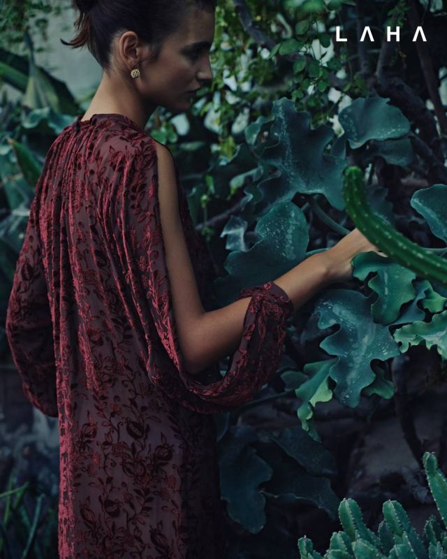 أقراط، فستان من المخمل باللون الأحمر الغامق من Dior 