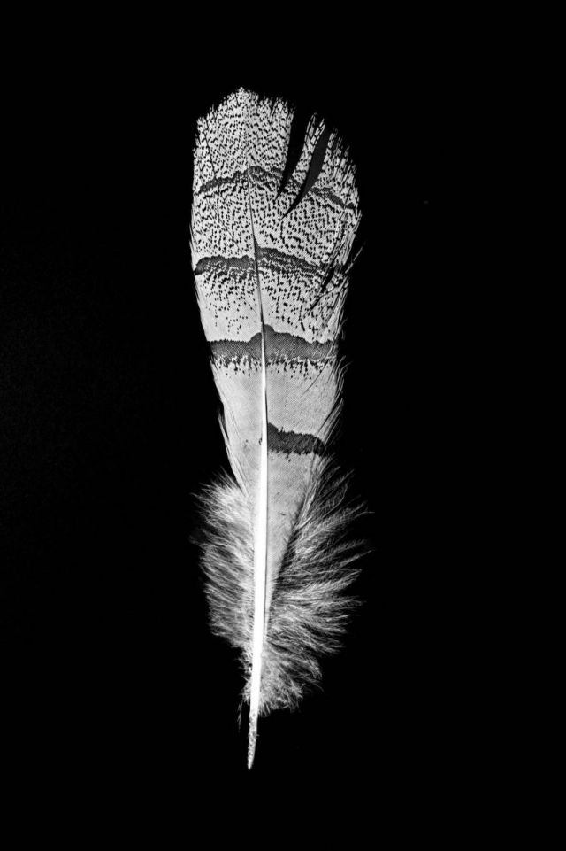 تصميم لـ Faisal Alrais من بين المعروضات