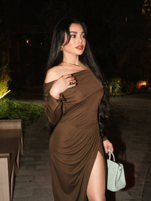 هيفاء وهبي تبرع في تنسيق اللون البنّي