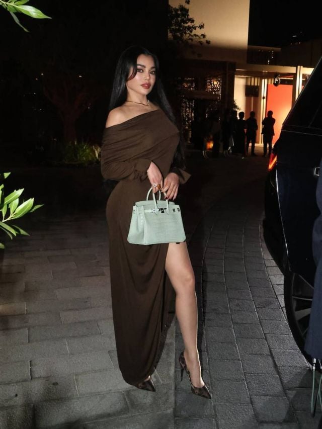 هيفاء وهبي تبرع في تنسيق اللون البنّي 