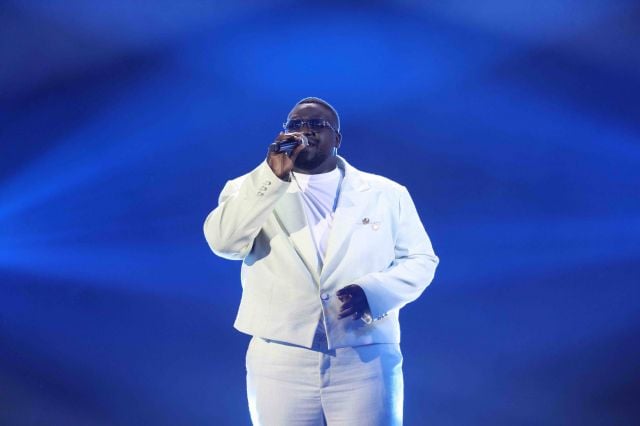 محمود السناني