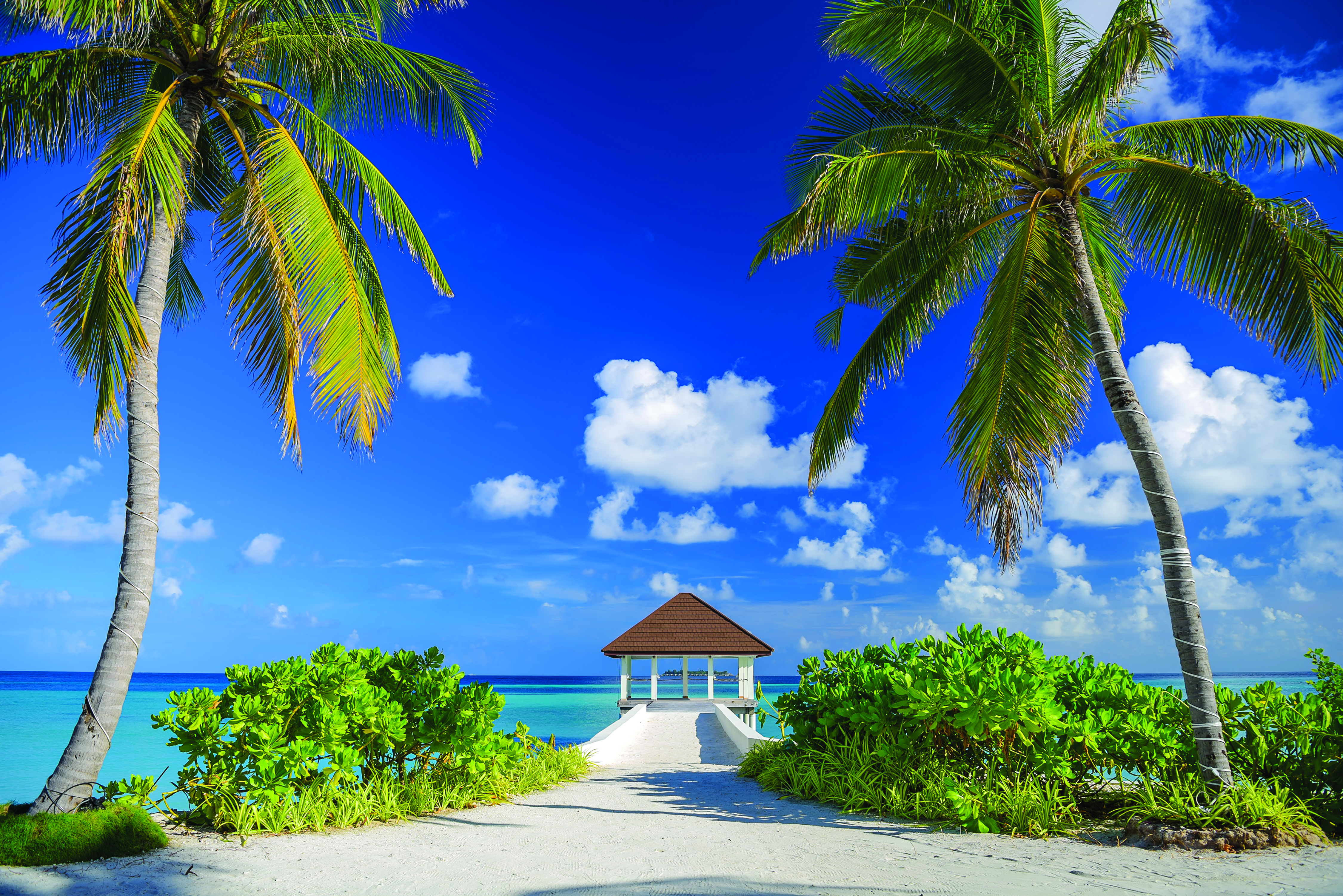 Varu by Atomsphere Varu by Atomsphere