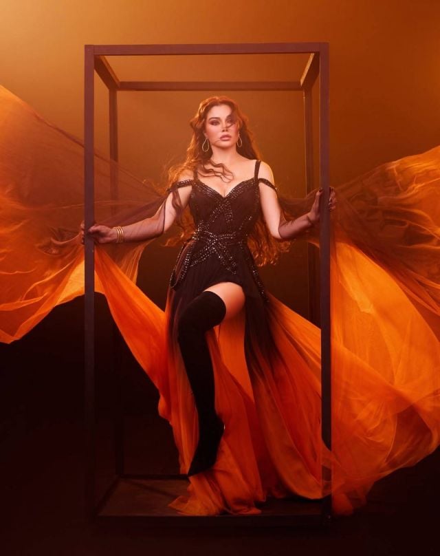 هيفاء وهبي تشع جمالاً بفستان مبهر