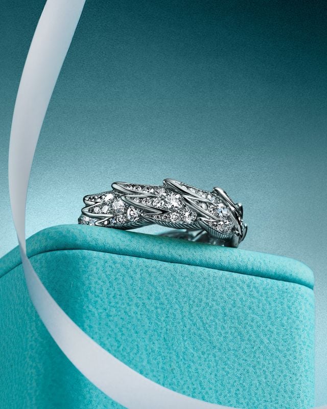 من مجموعة مجوهرات تيفاني آند كو لعيد الحب 2026