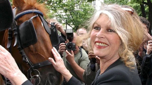 بريجيت باردو في سنواتها الأخيرة