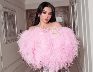 محامية هيفاء وهبي تعلن تفاصيل انتصارها على نقابة الموسيقيين بمصر