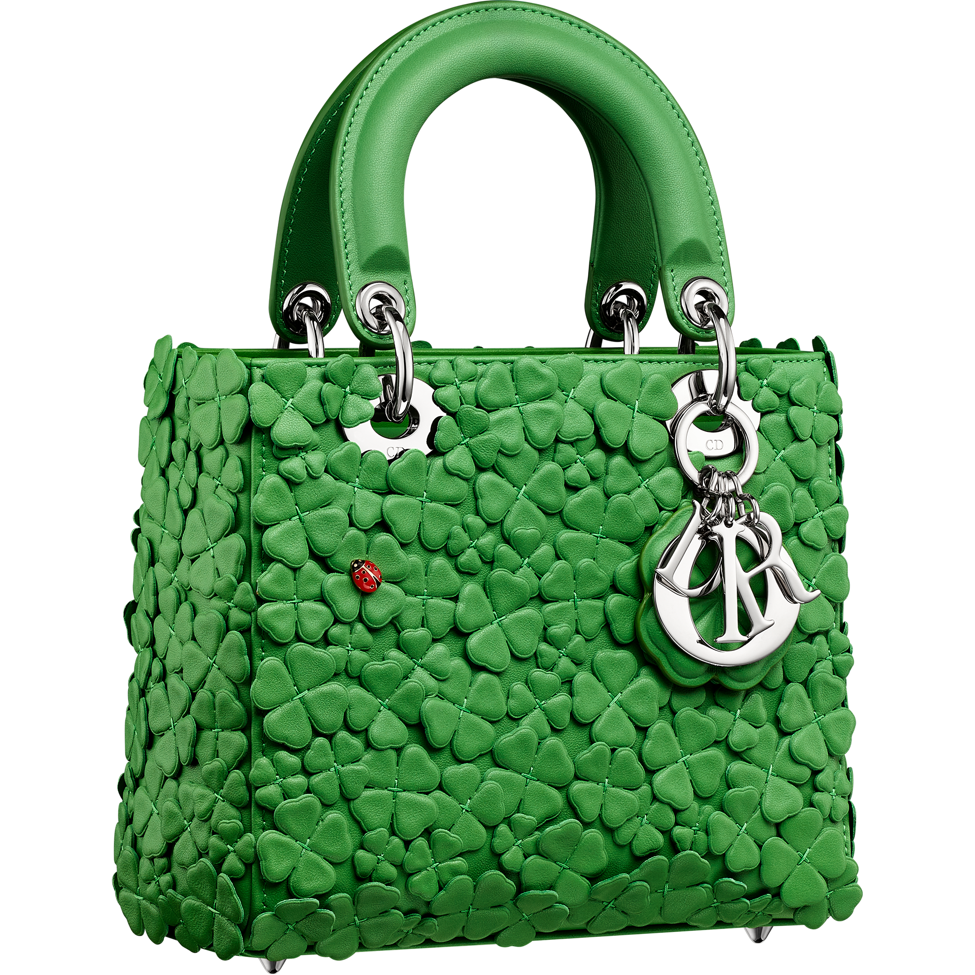 حقيبة ليدي ديور لربيع وصيف 2026 