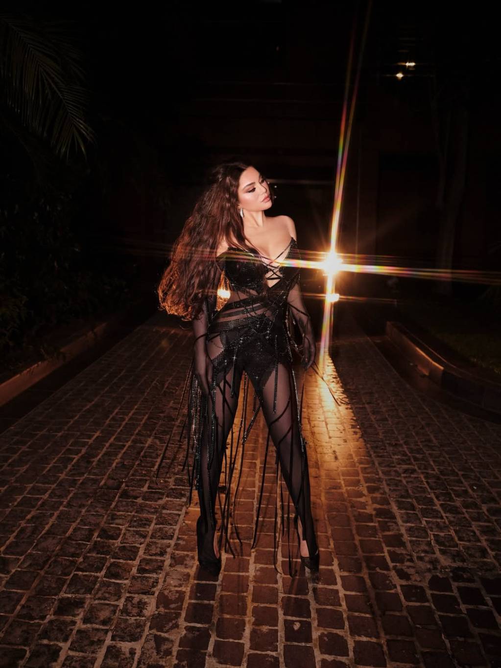 هيفاء وهبي تكسر القواعد بإطلالات نارية في 2025