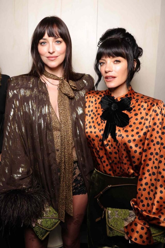 ليلي ألين وداكوتا جونسون