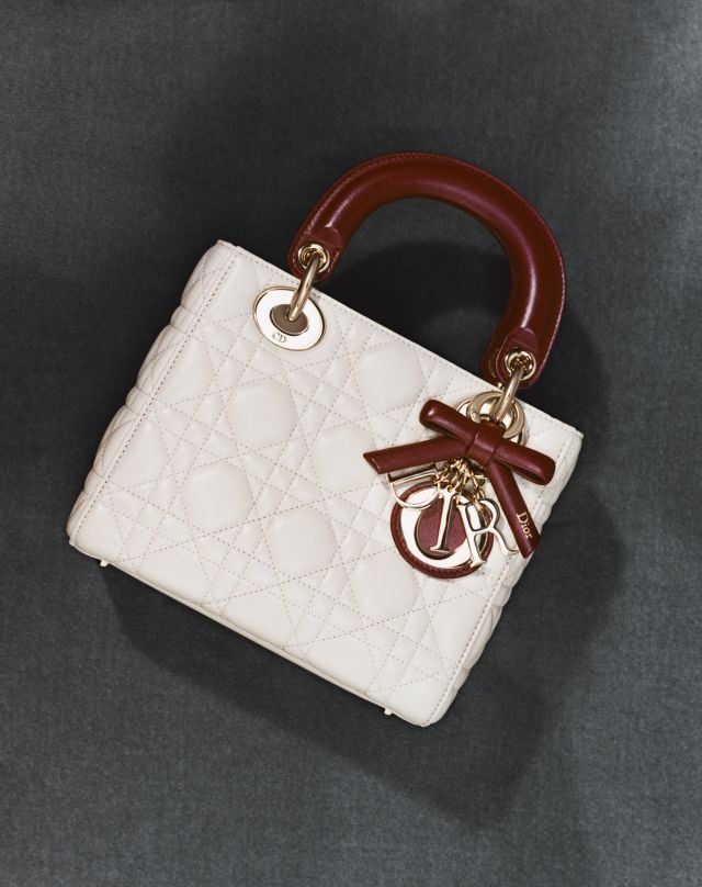 حقيبة أنيقة من Dior