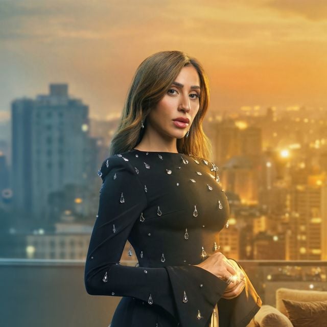 الفنانة دينا الشربيني