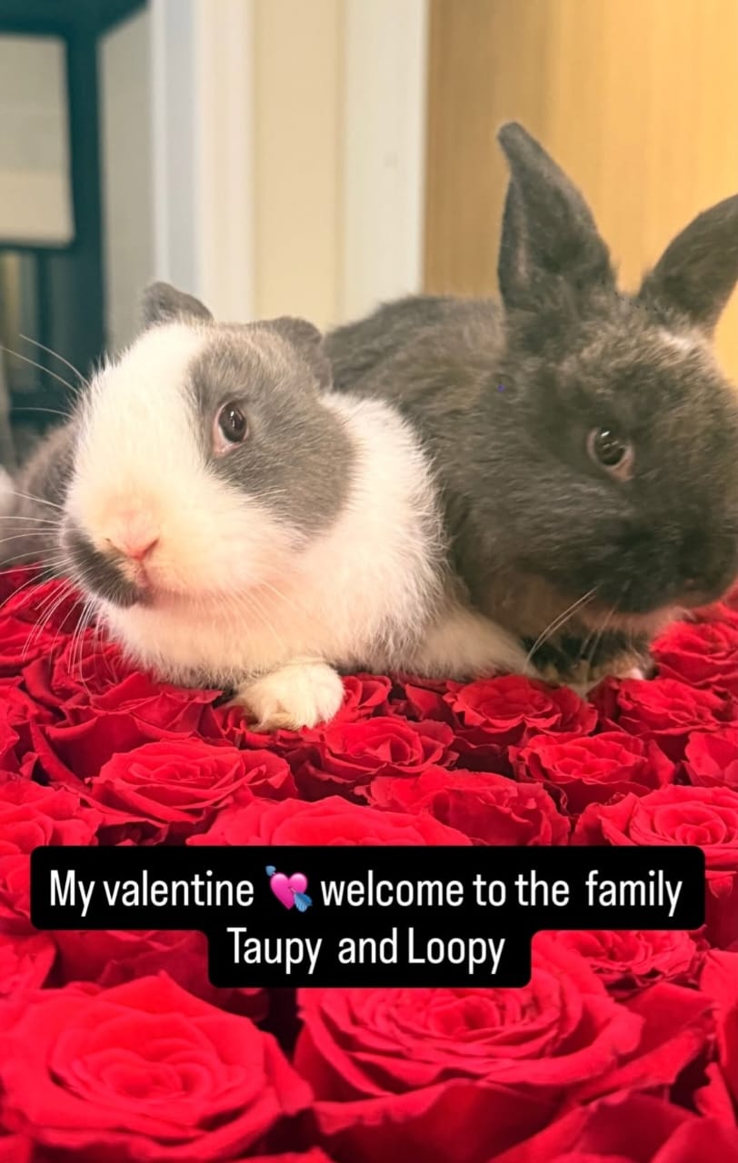 هدية نادين نسيب نجيم لطفليها هدية نادين نسيب نجيم لطفليها