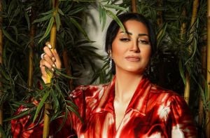 وفاء عامر: أنا الأحق بتصدُّر اسمي تتر "السرايا الصفراء"