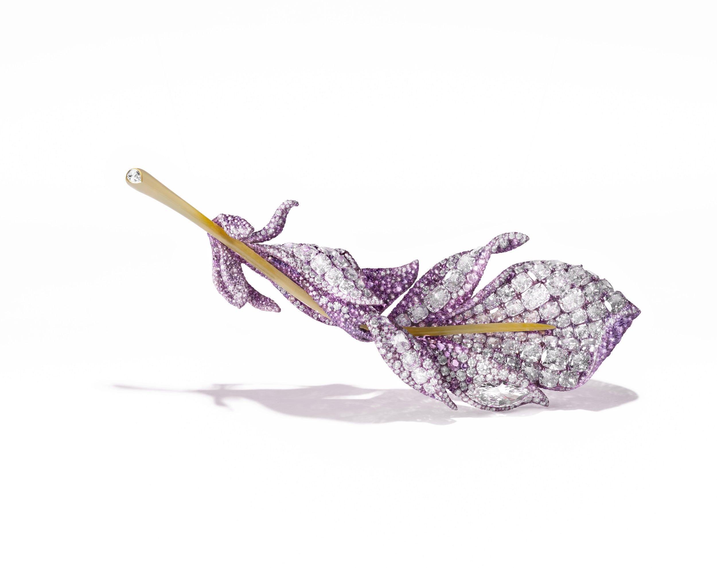 بروش الريشة