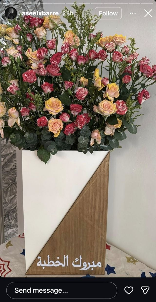 ورود تلقتها أسيل