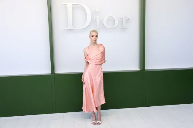 ديور 2026: أناقة النجمات تتألق في باريس