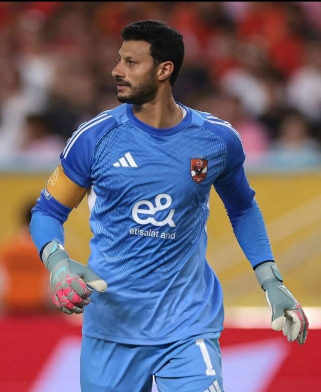 محمد الشناوي