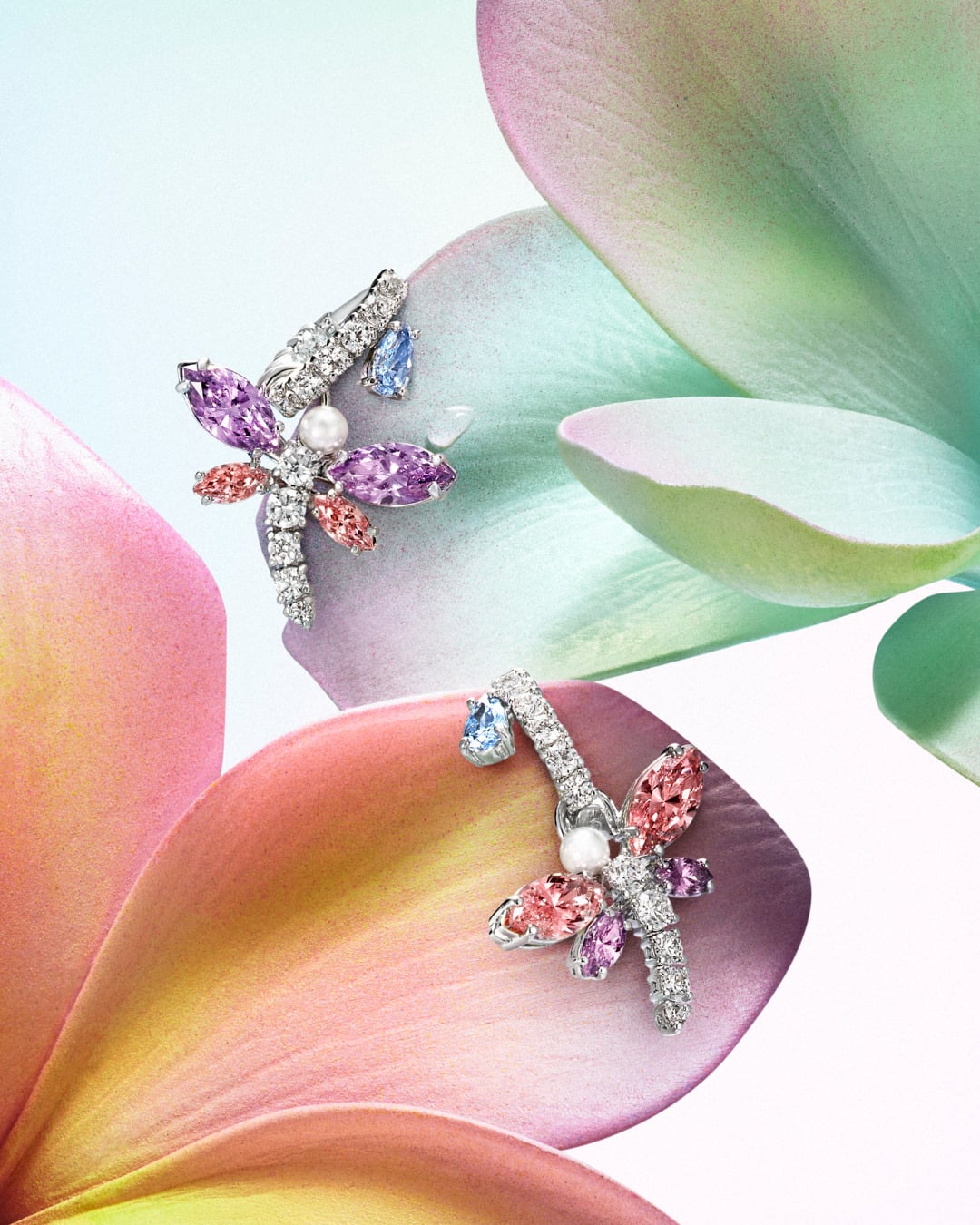 اليعسوب 2026 حملة الهدايا