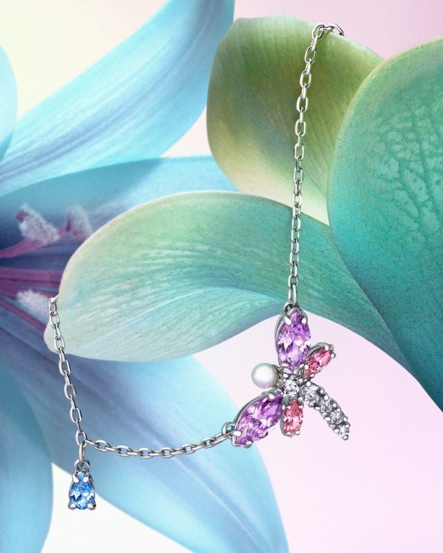 اليعسوب 2026 حملة الهدايا