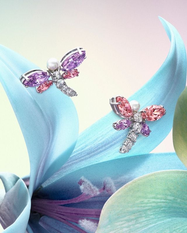 اليعسوب 2026 حملة الهدايا