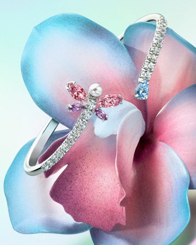 اليعسوب 2026 حملة الهدايا