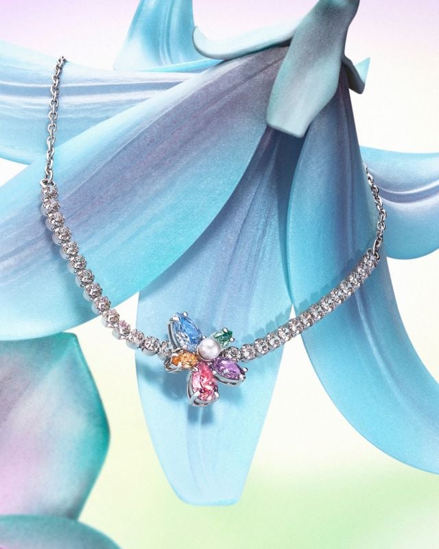 اليعسوب 2026 حملة الهدايا