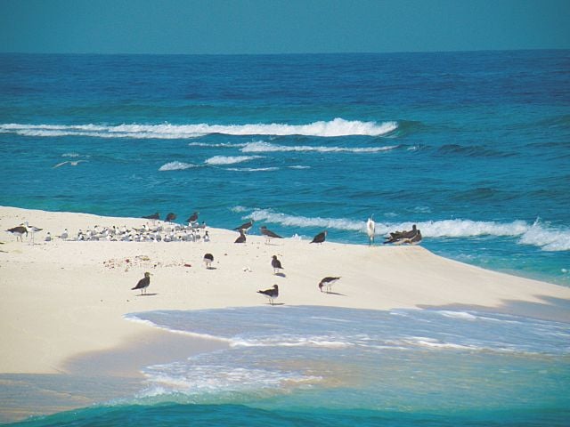 سواحل فرسان