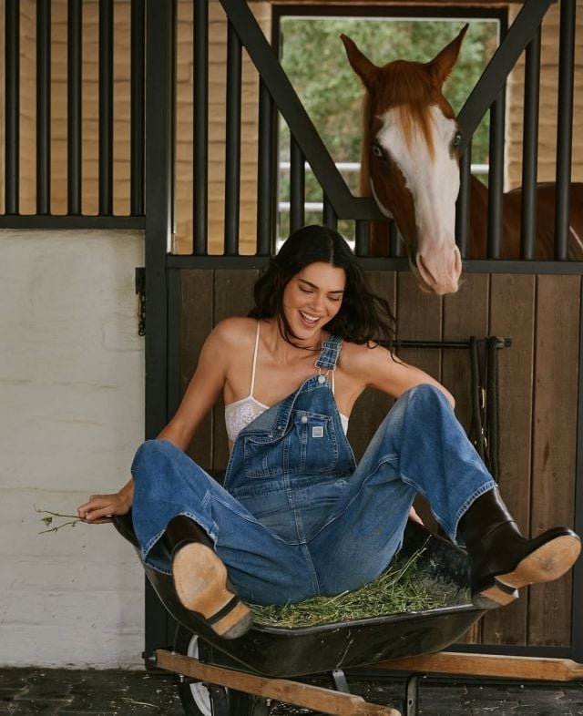 كيندال جينير بصيحة الدنيم العملية