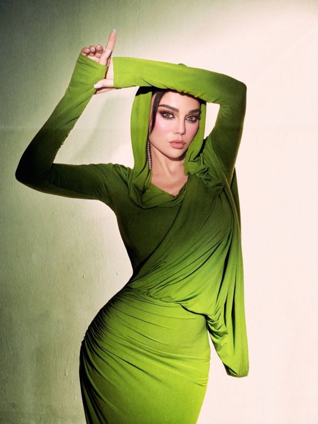 الفنانة هيفاء وهبي