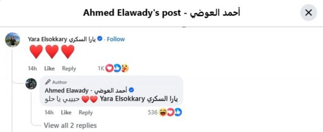 تعليق يارا السكري على منشور أحمد العوضي