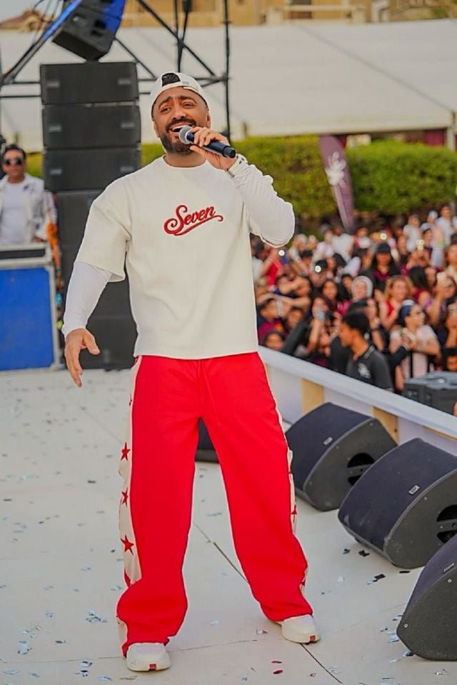 الفنان تامر حسني