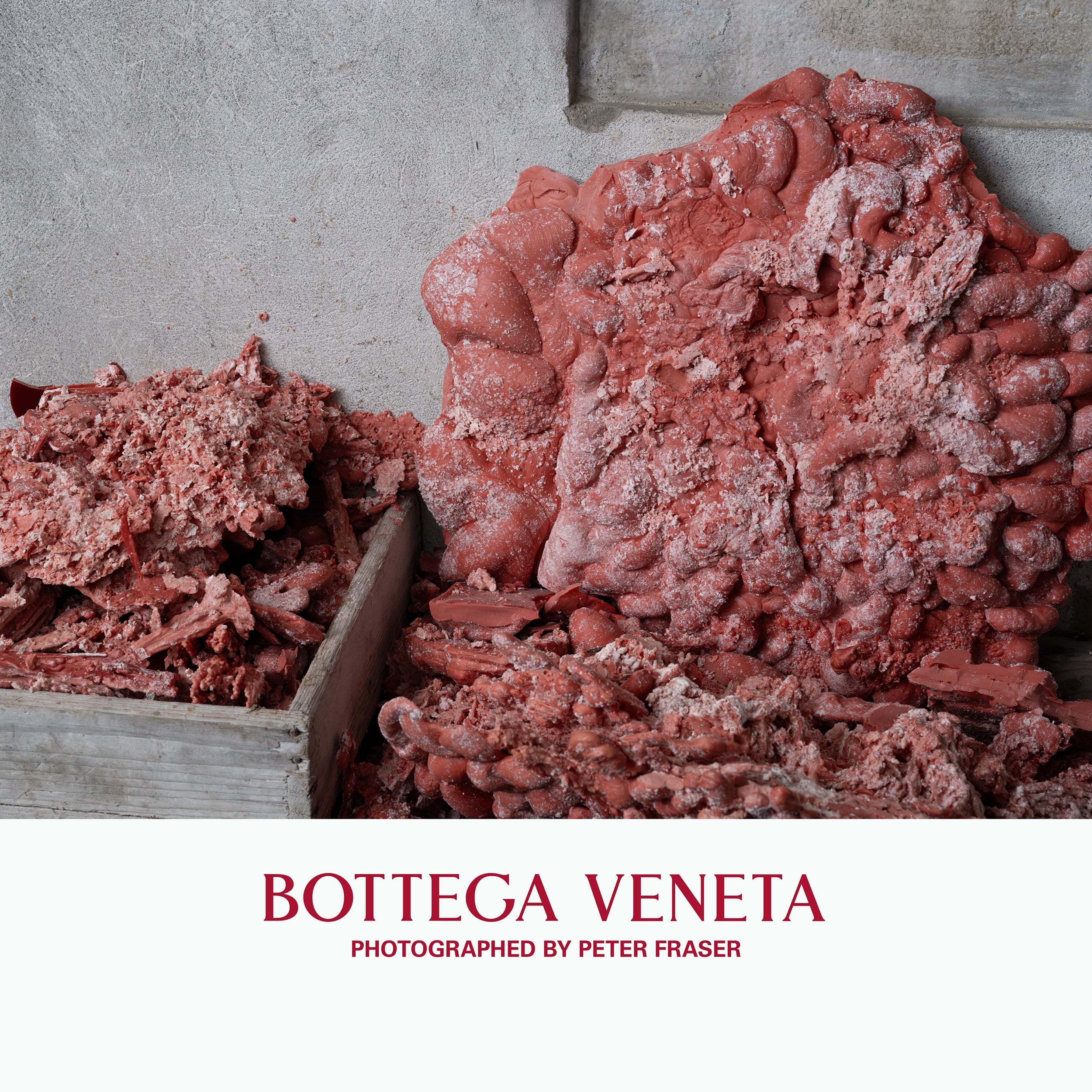 بوتيغا فينيتا للفنون