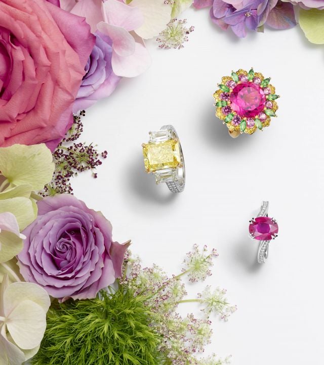 Caroline's Garden (6) ©Patrick Csajko