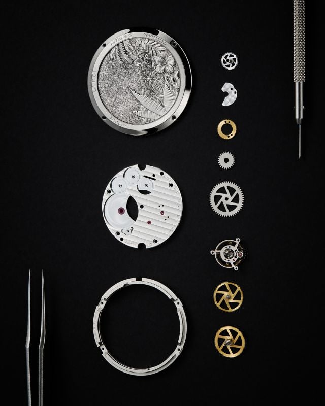 صناعة G-Timeless