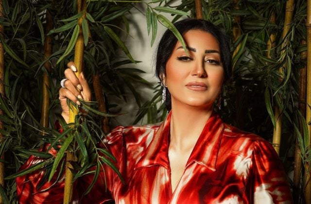 وفاء عامر: أندهش من طلب المرأة الطلاق وتنسى أبناءها (فيديو)