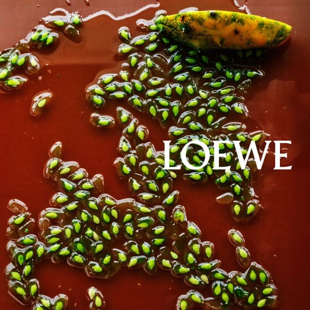 حملة مجموعة ما قبل خريف وشتاء 2026 من LOEWE