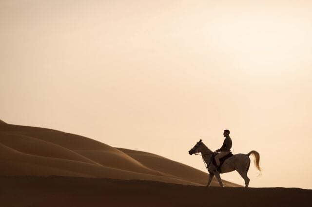 فروسية في قلب الصحراء داخل قصر السراب من أنانتارا