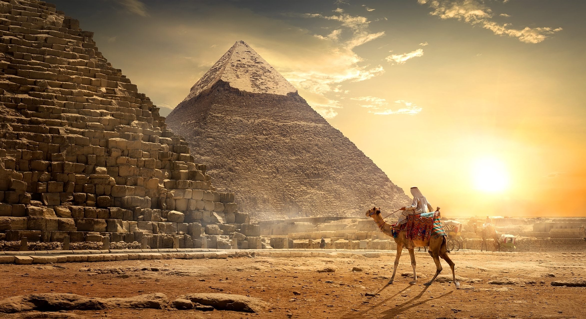 تفسير حلم السفر الى مصر للمتزوجة تفسير حلم السفر الى مصر للمتزوجة