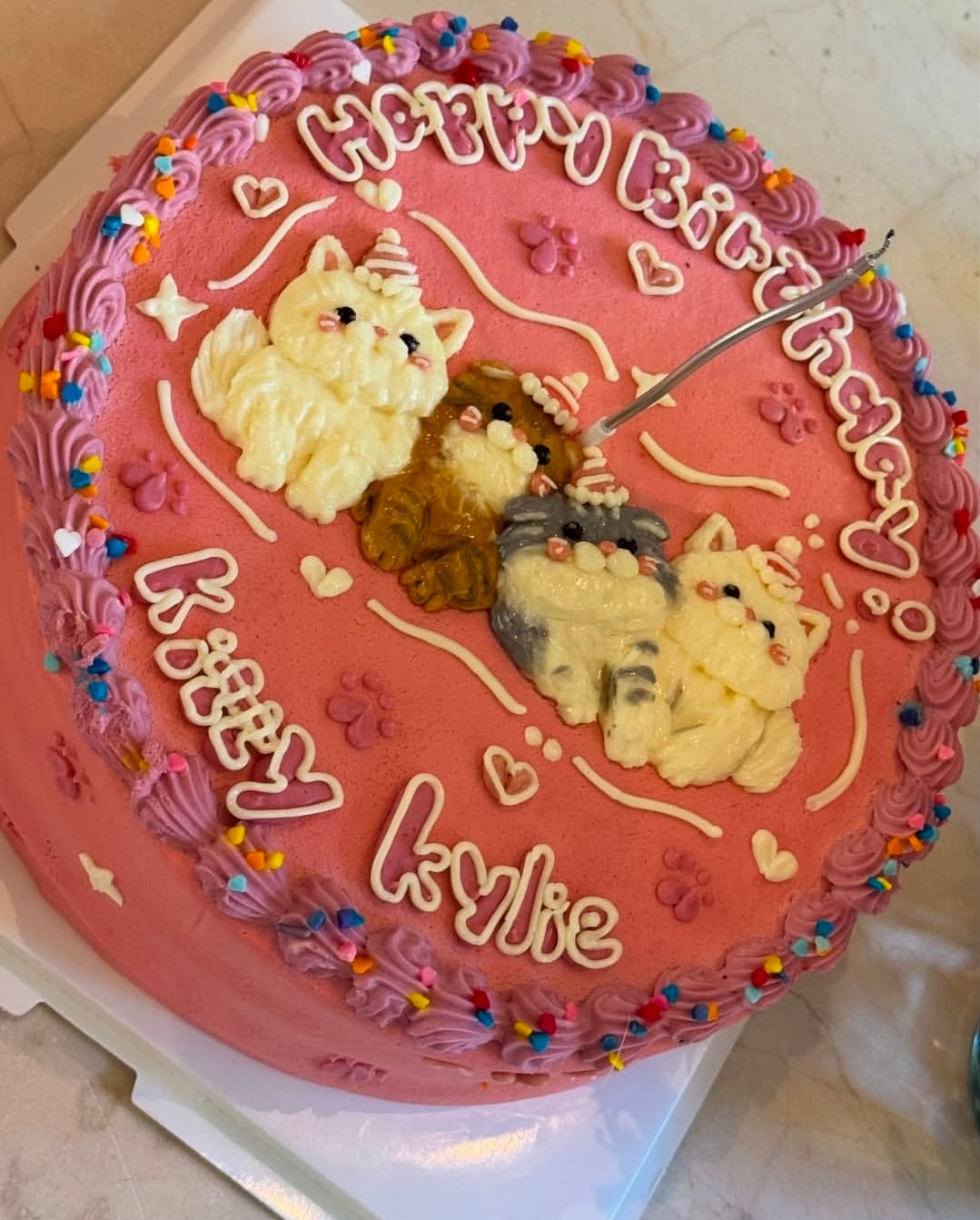 أجواء Princess Kitty المميزة