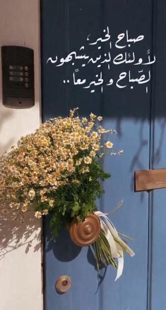 عبارات عن صباح الخير عبارات عن صباح الخير