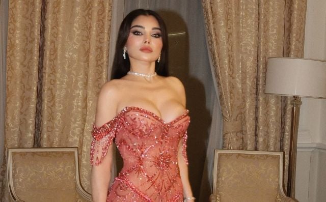 قرار جديد من المحكمة في مطالبة هيفاء وهبي بتعويض 5 مليون جنيه من طبيب تجميل